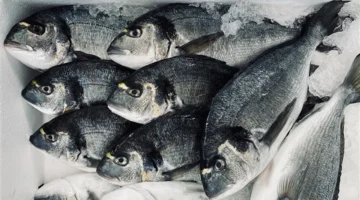 تحديثات الأسواق.. قائمة أسعار الأسماك والمأكولات البحرية في تعاملات الإثنين 2 فبراير